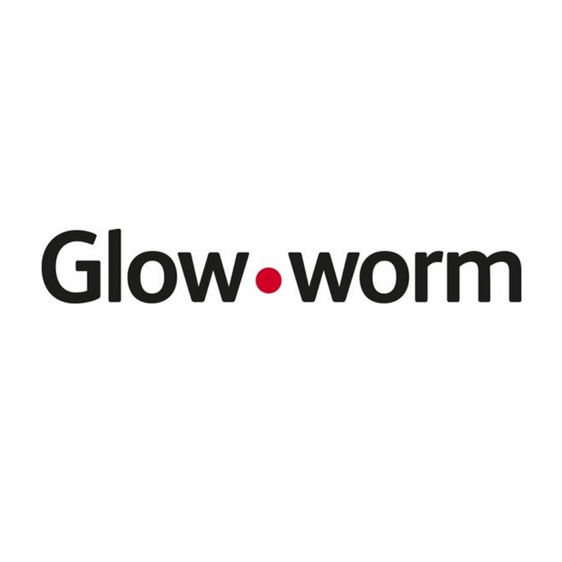 Glow-worm