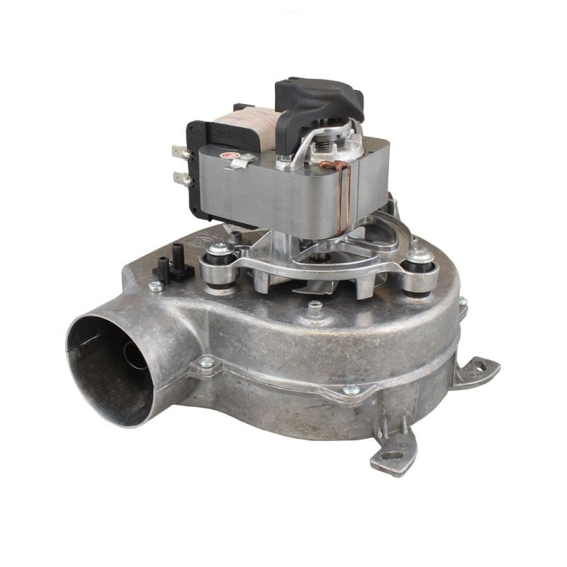 Glow-worm Fan (0020061578)