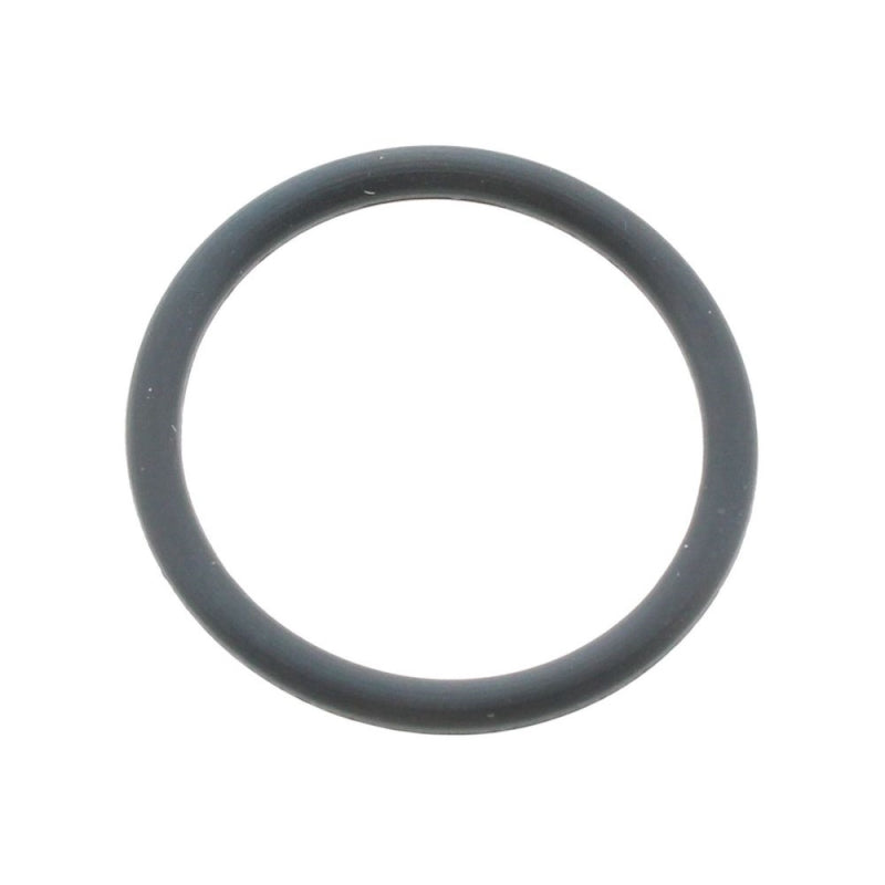 Glow-worm O-Ring - Pack of 10 (0020097224)