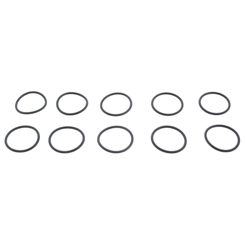 Glow-worm O-Ring - Pack of 10 (0020097226)