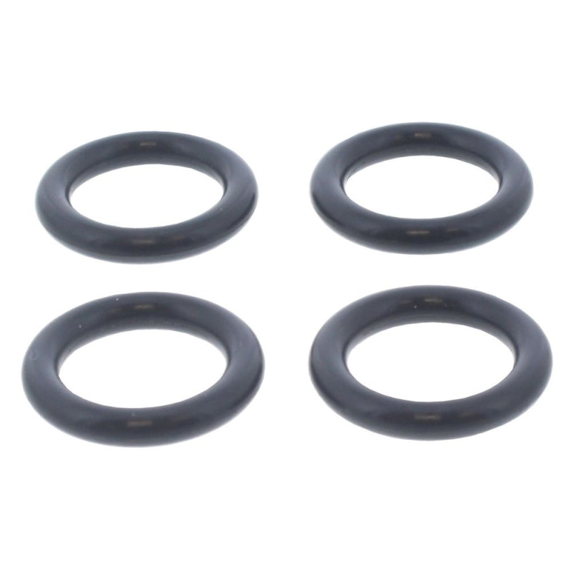 Ferroli O-Ring Pack (39837850)