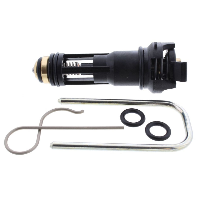 Ariston Valve (61302411)