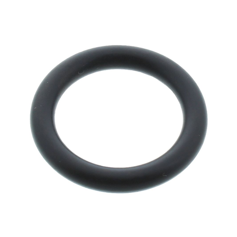 Worcester Bosch O-Ring (87161138330)