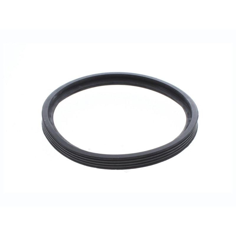Intergas Seal (878147)